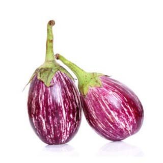 Eggplant - Purple