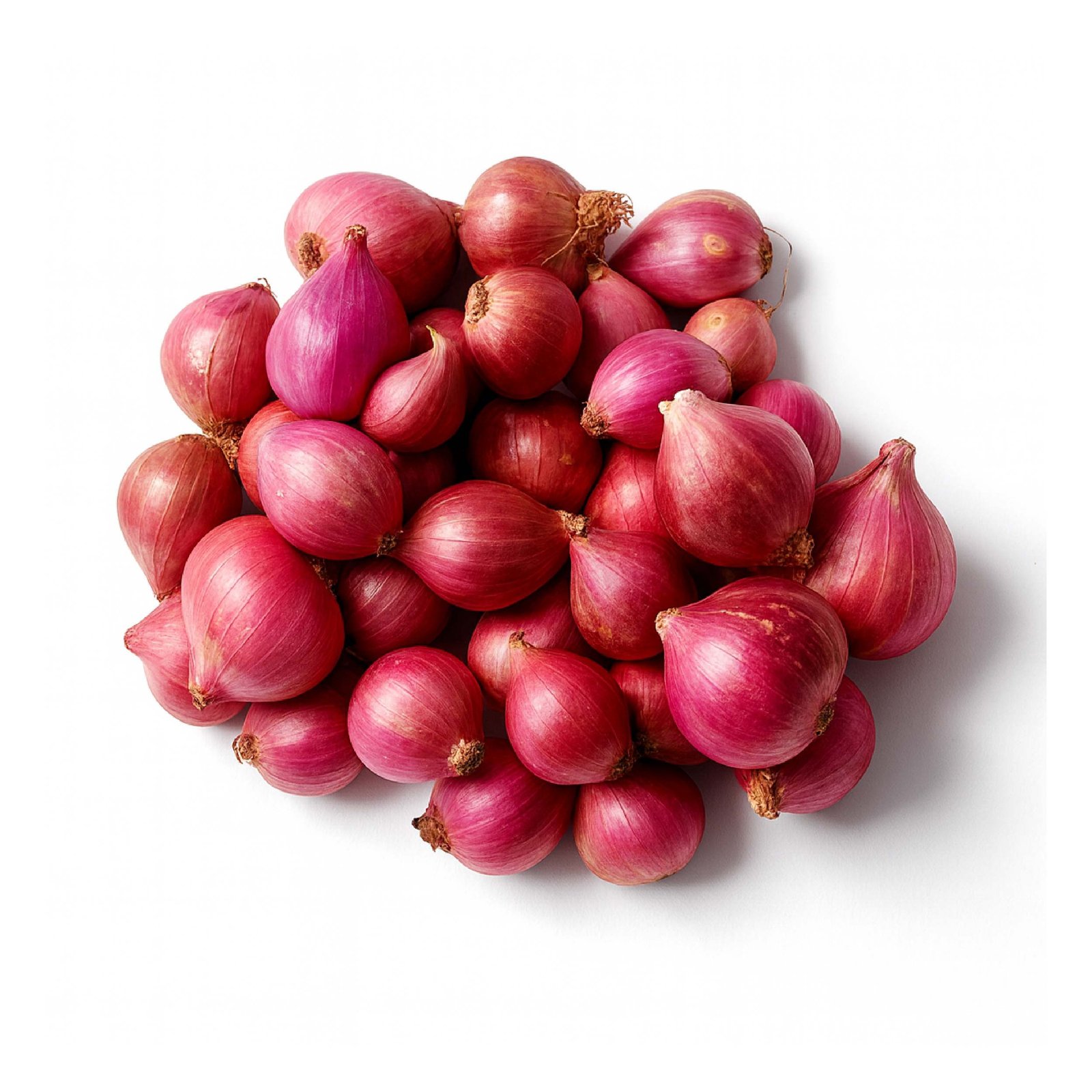 Shellot (Madras Onion)