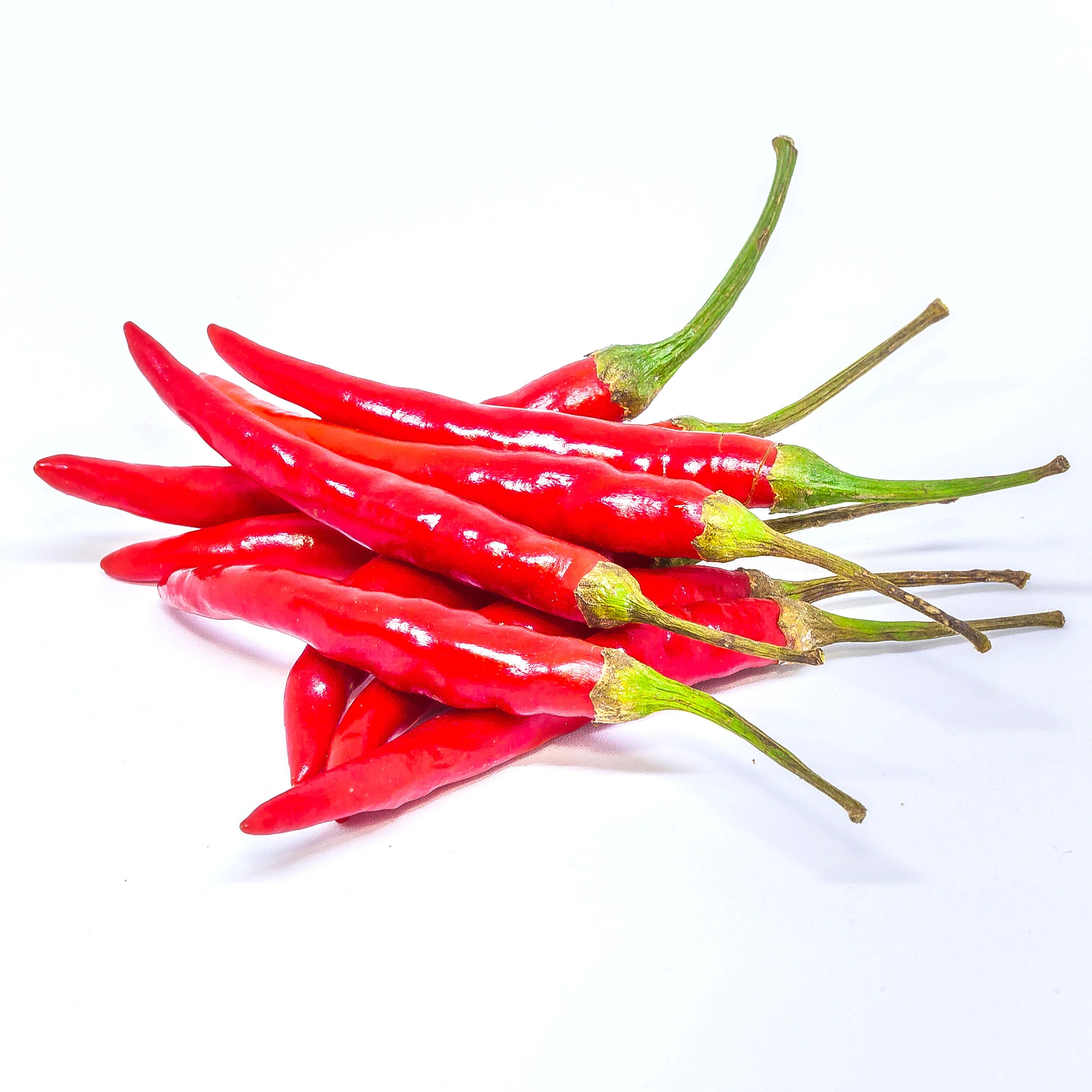 Chilli - Thai Red