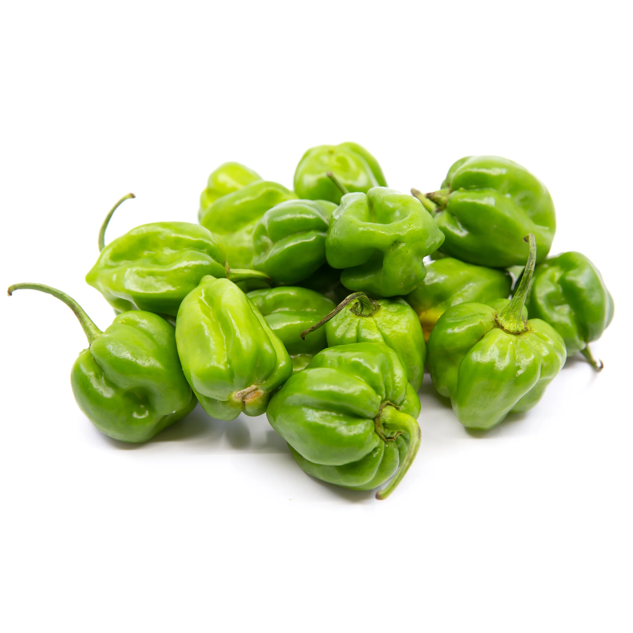 Chilli - Habanero - Green (Jamaican)