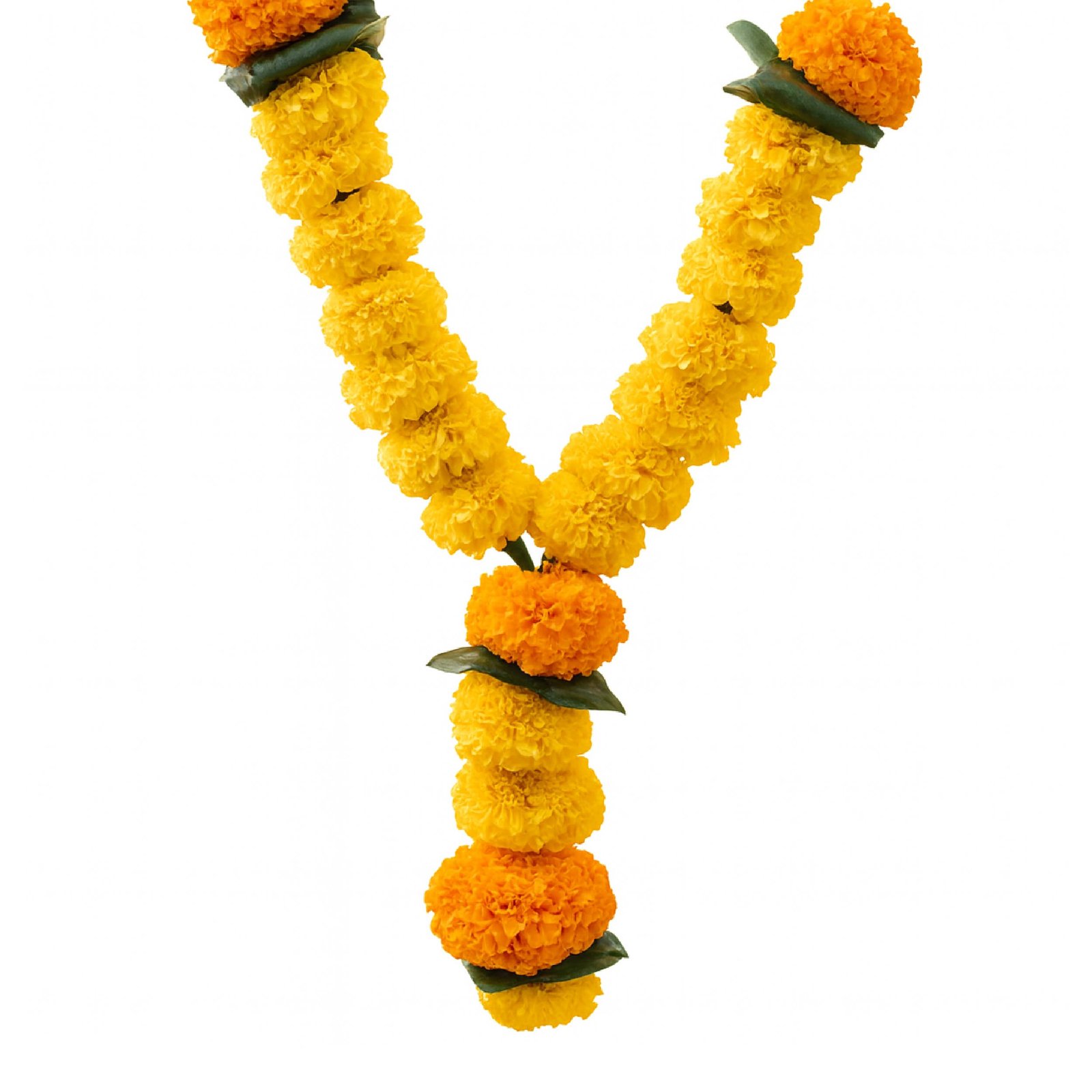Mala (Marigold)