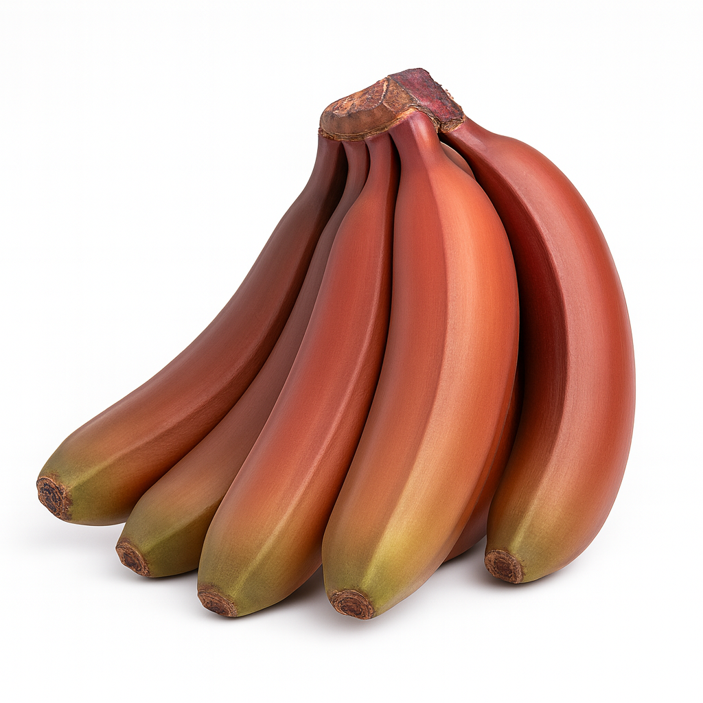 Elichi Banana - Red