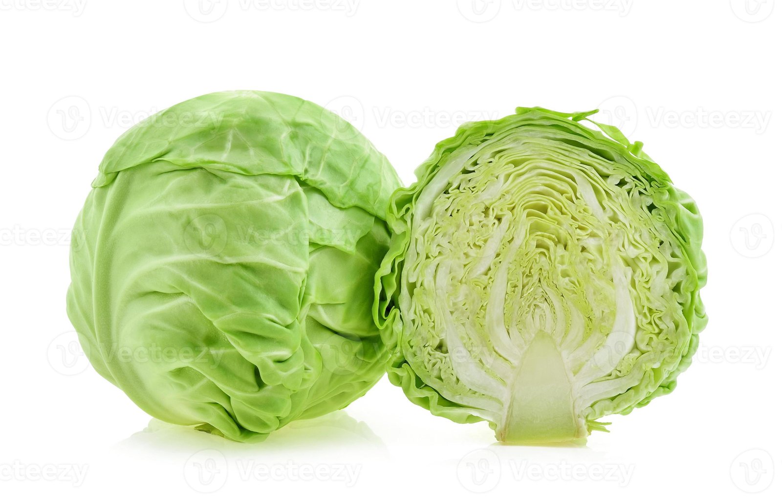 Cabbage - Green