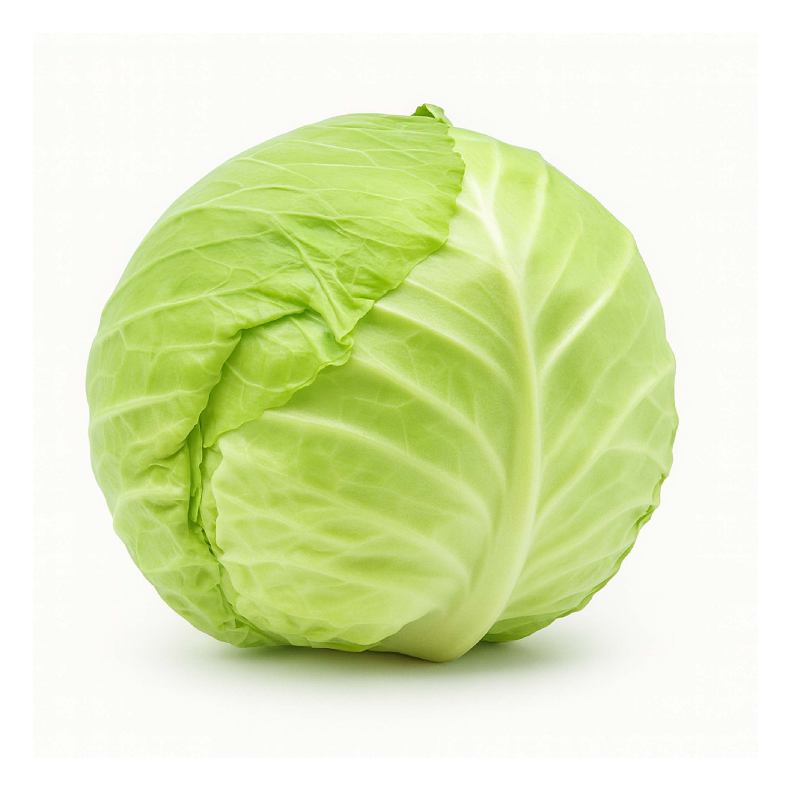 Cabbage (Indian)