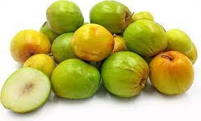 Chameli Ber (Jujube)