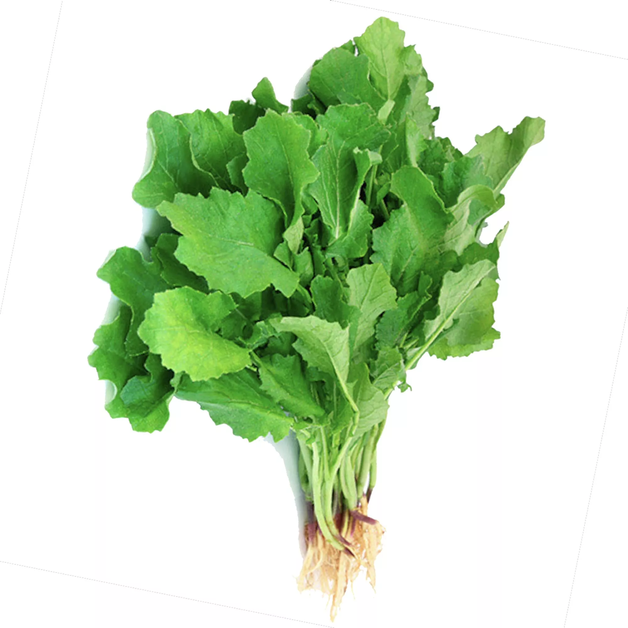 Mustard Green (Saag)