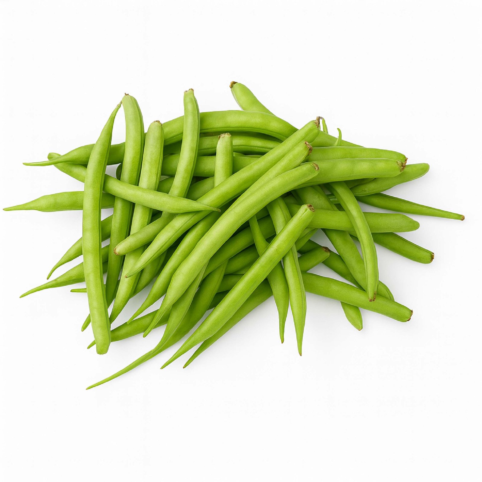 Guvar (Bluster Bean)