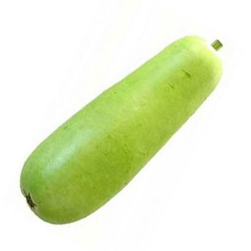Long Squash - OPO