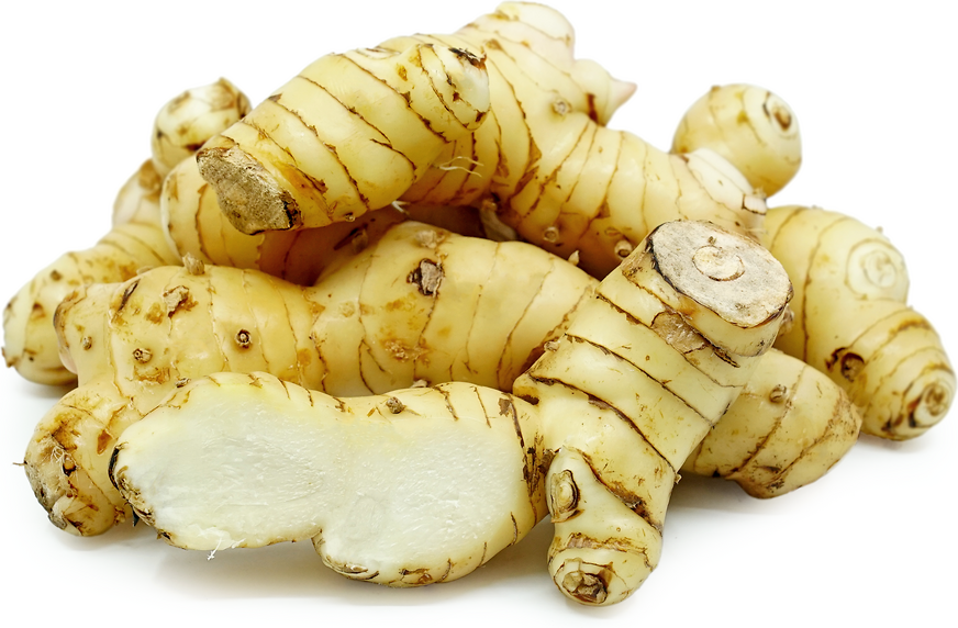 Galangal Root