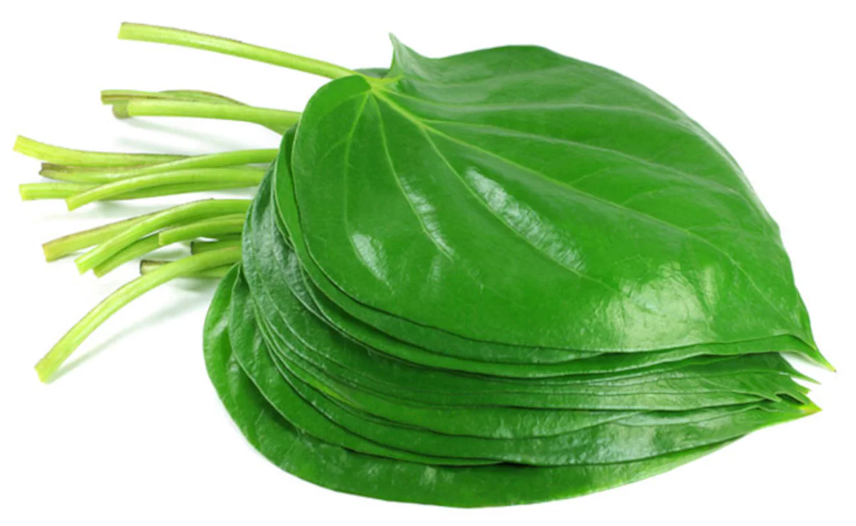 Betel Leaves