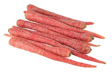 Carrot - Red