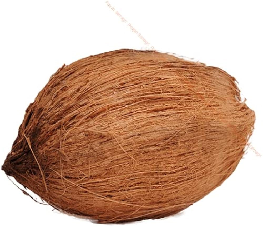 Coconut - Havan
