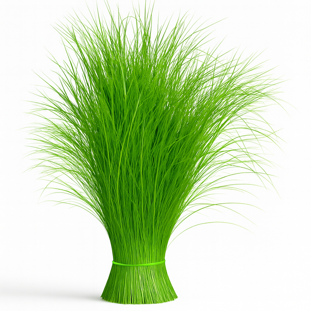 Druva Grass