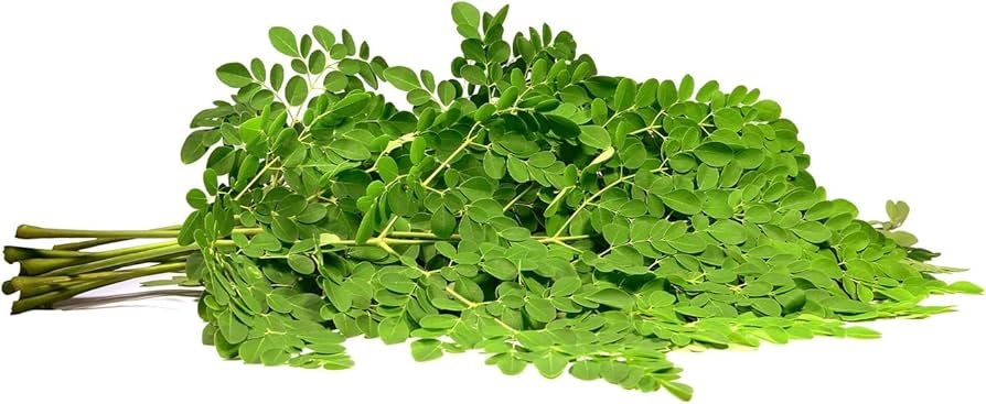 Drumstick (Moringa) Leaves
