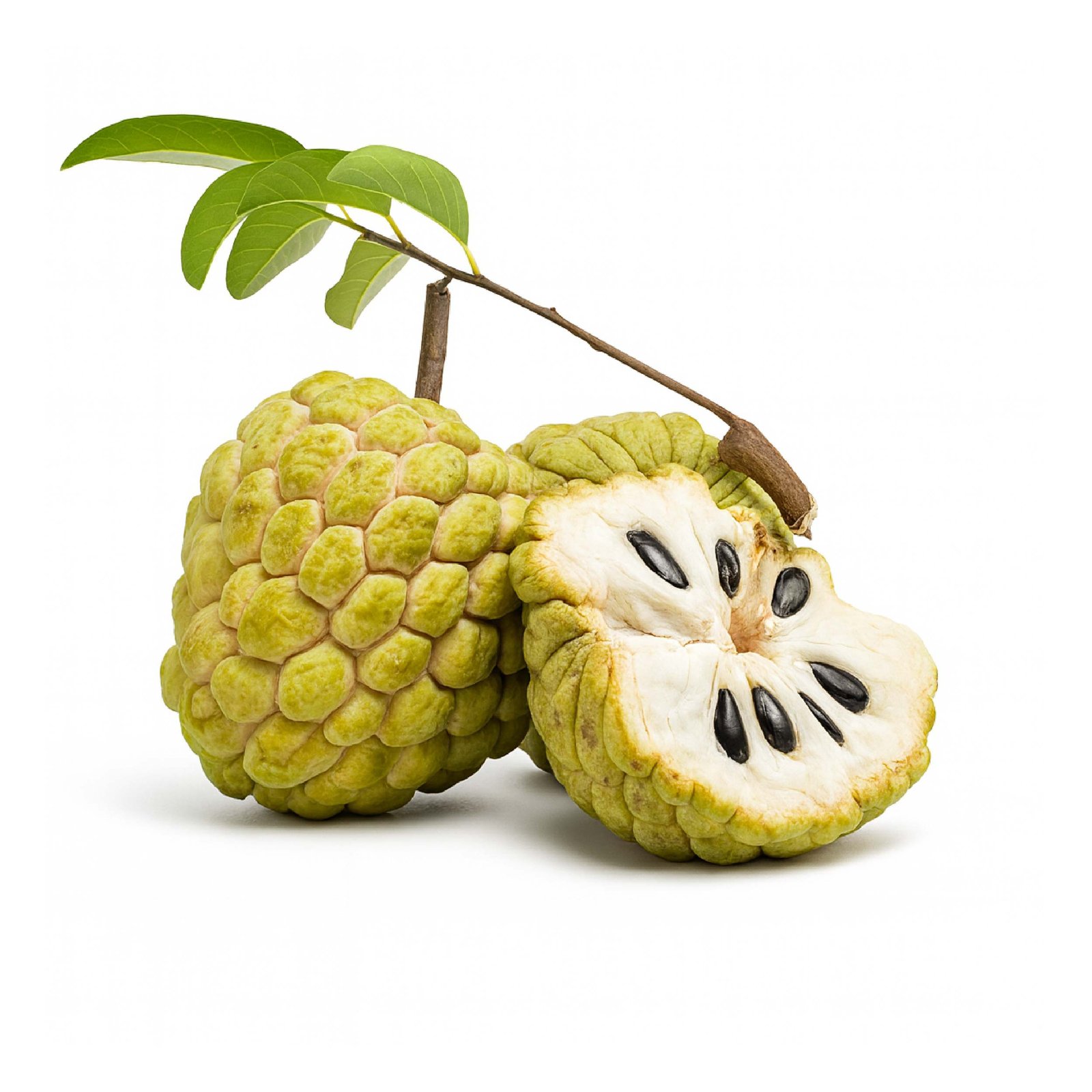 Custard Apple